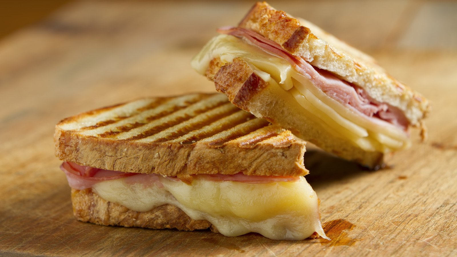 Paninis — SUCRESSO
